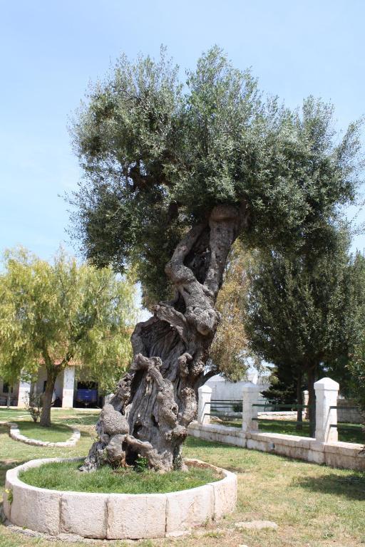 Masseria Maccarone Fasano Eksteriør bilde