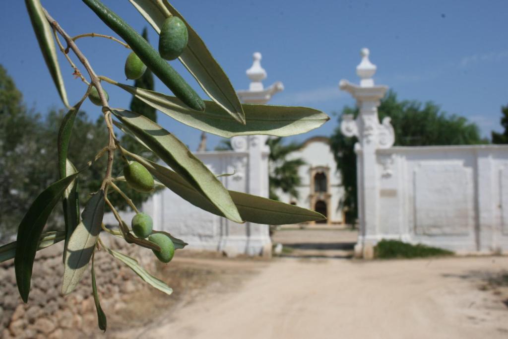 Masseria Maccarone Fasano Eksteriør bilde