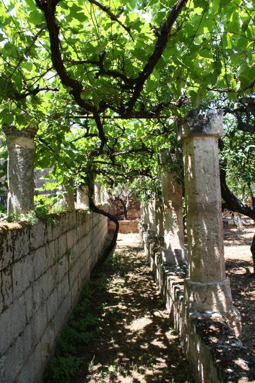 Masseria Maccarone Fasano Eksteriør bilde