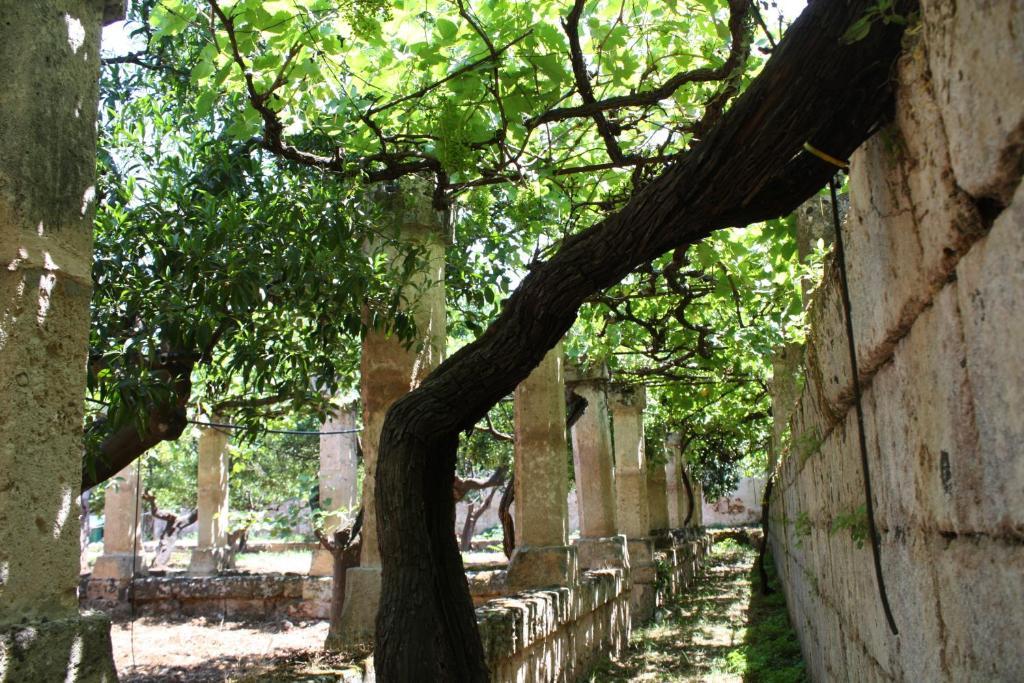 Masseria Maccarone Fasano Eksteriør bilde